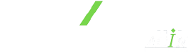 BNFIX PICH DOMENECH logo